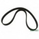 Secondary Drive Belt Part PQS500241R