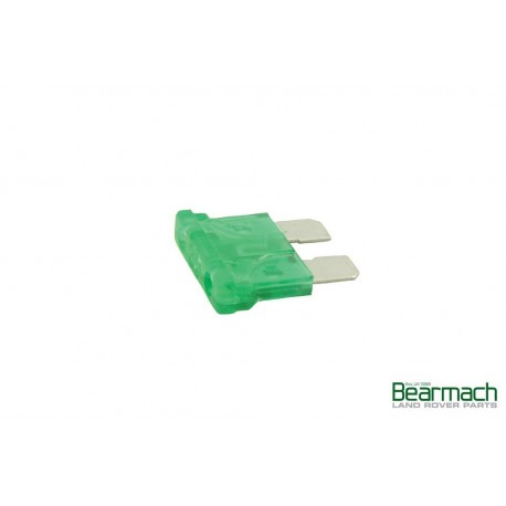 Set of 10 30A Fuses Part RTC4507