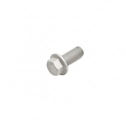 Set of 10 Screws Part SH110251