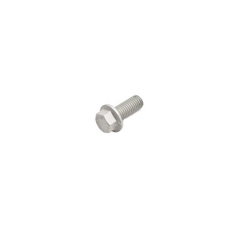 Set of 10 Screws Part SH110251