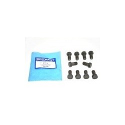 set of 10 Bolt Part BR1119