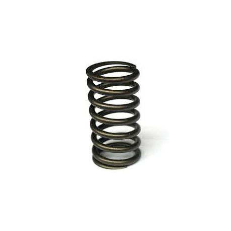 2.5L Petrol/Diesel Defender -06 Rocker Shaft Spring Part 247040