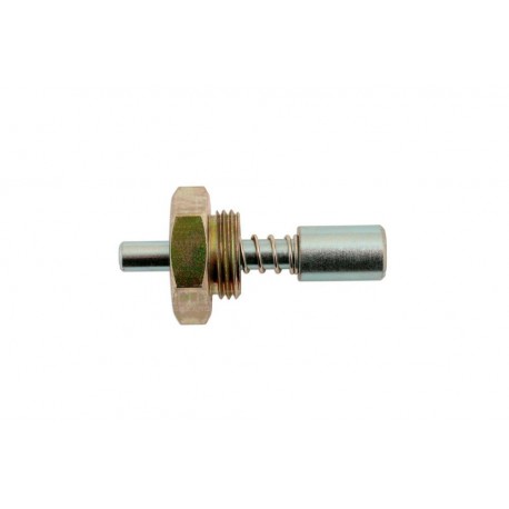 In-Line Diesel Pump Locking Screw - Bosch Part 5974