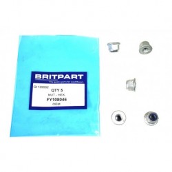 NUT - HEX Part FY108046 set by 5