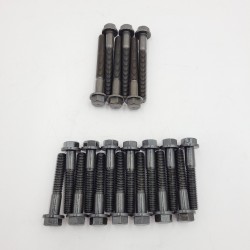 Petrol engine 4.0L & 4.6L head bolt set ERR2943x14 + ERR2944x6 for Land Rover Discovery 1,2