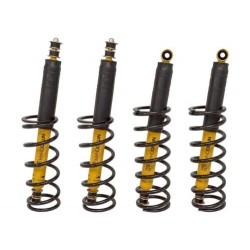 Front Coil Springs PAIR Defender Discovery 1 RR Classic DA8910