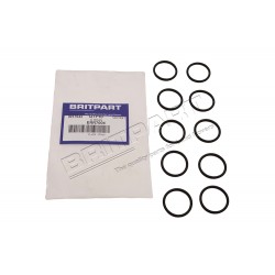 Set of 10 Fuel Injector O Ring Part ERR7004