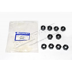 LR SERIES SET OF 10 Wheel Nut Part 561254